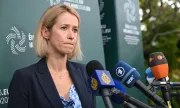 ������ ��� �����: ��� � ������ �� ���-������������� ������ �� �������� �� �������