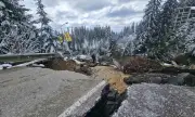 ������ �������� �� ���������� �� ���� ��������� - ������ �� �� ����� ��-����� �� 70 �.