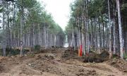 Проверяват строежите в Созопол и Царево