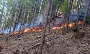 Голям пожар бушува край Габрово