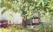 ������ ��������� � �������� ����������� �� ���������� �������� ���� ���������� � �������