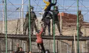 ������ ���� � ������: �������� ��������� ����� �������� ������