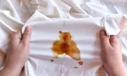 ������ 5 �����, ��� ����� �������� ���� ���� �� �������