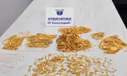 ������ ��������� ������������ ������ ������ �� ��� 700 000 ���� 