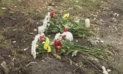    6-   ,        