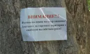 Заведения край Шуменското плато искат компенсации заради издирването на леопарда