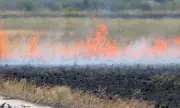 Атанасовското езеро отново пламна