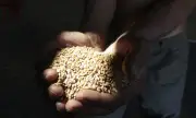 ������ �� �� � ������ �� ��������� ������������ ����� �� ��������� ����� ���� ��