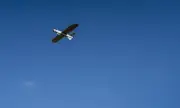 ������ ��������� ������ �� ������� �� �� �������� ����������� � �� ����� ����� �����