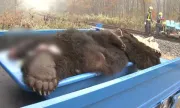 ������ ���� ��������� ���� ������� � ����� � ������