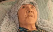 130-       -    