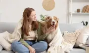 ������ �������� ����������� ��������� ������ ���� �� ������