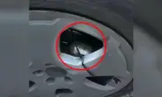 ������ ������� ��� ������ � ��������� � ������� ������ ����� ������� ���������
