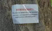 Черният леопард се появи до шуменски квартал