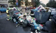 Елена Гунчева-Гривова: Зад кулисите действа законът на джунглата 
