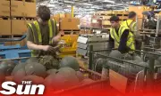 Лондон строи поне шест нови оръжейни завода