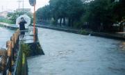 Воден апокалипсис в Япония (ВИДЕО+СНИМКИ)