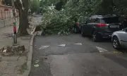 ������ ����� ���� � ��������� � ������� - ���� � ����������