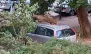������ ����� ����� ������ ������� � ����� � ������, ��������� ������� �� ��� 10 �������