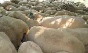 ������ O����� �� ����� �� ���� � ���� � ���������