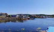   ,   , 18 :  ,      