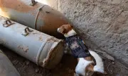 ������ ����� ��������� �����, ����� �� ����� ���������� ������ ������