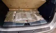 ������ ����� ������� ������ �� ����������� �� ��������� ���� �������� �����