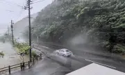 ������ �������� ������� ����� ����� ���� ������