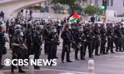 Въпреки полицейския час: Протестиращите в Лос Анджелис остават на улицата ВИДЕО
