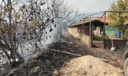 ������ ��������� ������� ����� ���� ���� �������