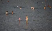       :    