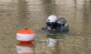 ������ �������� ������ �� ������� ����, ��������� � ���� ������