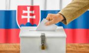 Словакия се готви за избори