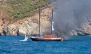 ������ ����� ������� �� ������������ ������� ���� ������, 115 ���� ���� ����������
