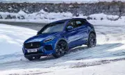    Jaguar      