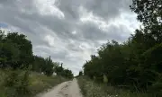 Къде е "пумата", чия е и как се е озовала в България