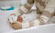 ������ ���� ���� ���� �� �������� �� ������� ��� ������ ���� ������� ��