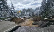 ������ ���� ��� ���������� �� ���������� ���� ������ - ���������
