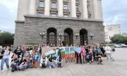 Стена от подписи пред парламента: 110 000 поискаха забрана на клетките за телета