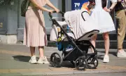 ������ �������� �� ����������� �� ������� ������ ����������