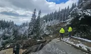 ������ ������ ������� �� ���������� �� �������� ��� � ������ �� ����������� ������� ����� ��������� � ������