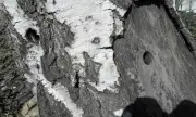 ������ ��� ��������� ������� ������������ ��� �� ��������� ���� � ��������