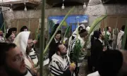 ������ ����� �������������� ������ ������! ������ ����������������� ����� �������� �� ������� � ������