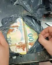 ������ �������� ������� ������ ��������� �� �������� �� 