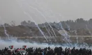 ������ ������ ���� �� ��������: ������������ ���� ������ � ����! ���������� 
