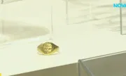 ������ ��������� ������� �������� ������ �������-����� � ������ �� ���������
