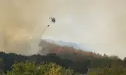 ������ ������� ����� � ������ �� ��������� ��� ��������� � ��������