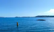 ������ ����������� � ��������������� � ������ �� ���������� ����������� ���� ������� ������� ������