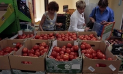 До $12 млрд. загуби за Турция от руското ембарго