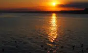   ,   , 6 :     